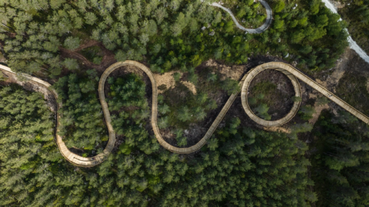 Juan Pablo Herrero Gil – Treetop Walkway in Hamaren Activity Park, Fyresdal, Norway, 2023